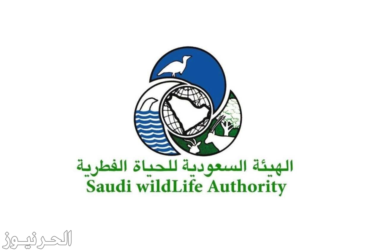 رابط الهيئة السعودية للحياة الفطرية والاجراءات المطلوبة